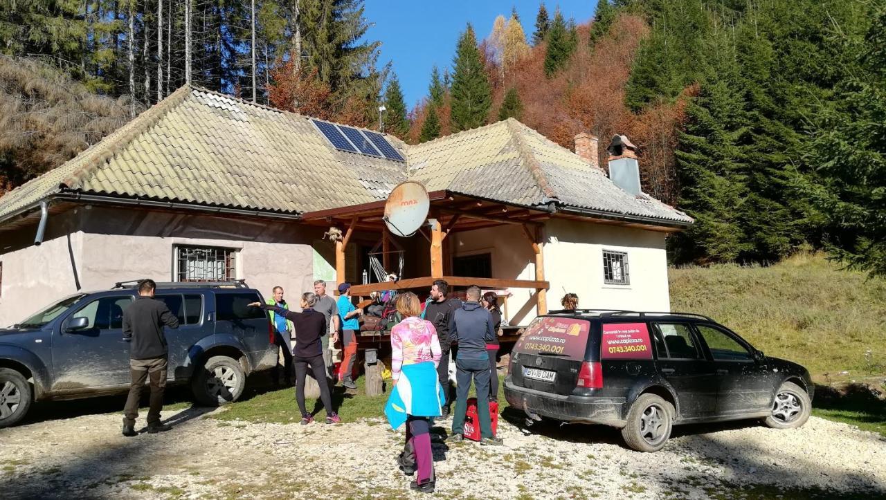 Cabana Pietricica Dîmbovicioara Esterno foto