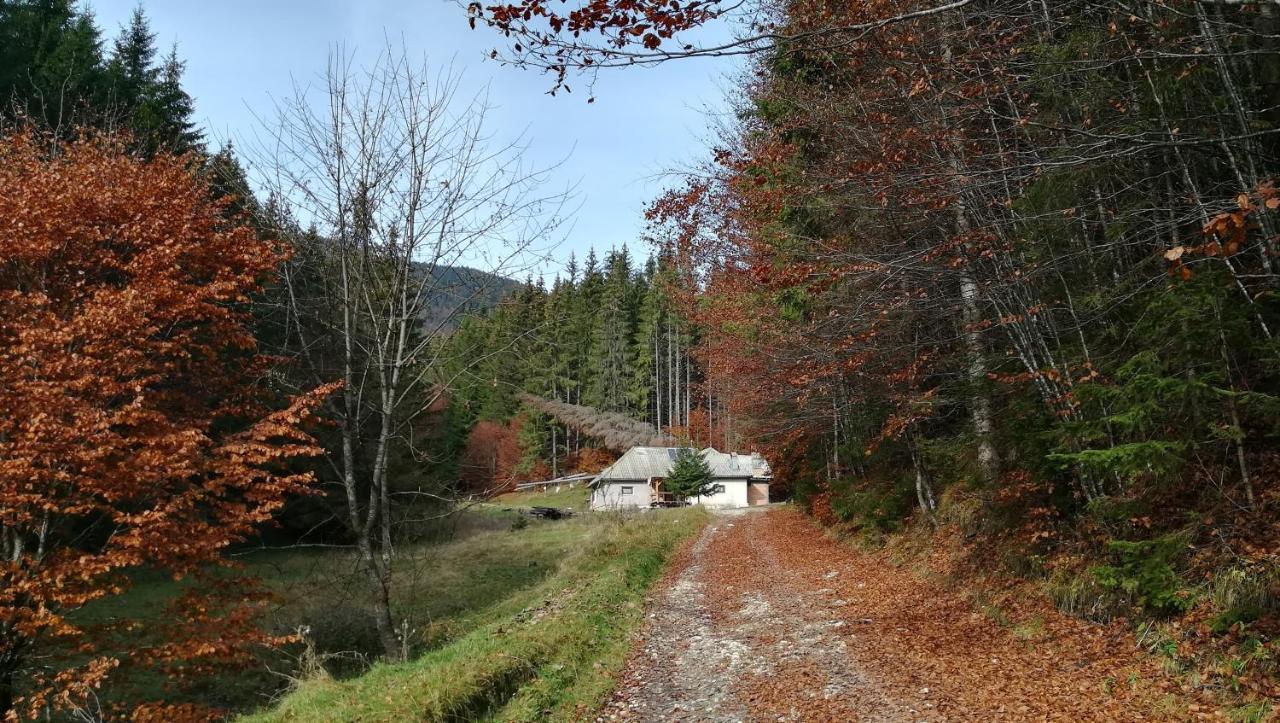 Cabana Pietricica Dîmbovicioara Esterno foto
