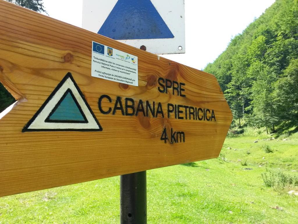 Cabana Pietricica Dîmbovicioara Esterno foto