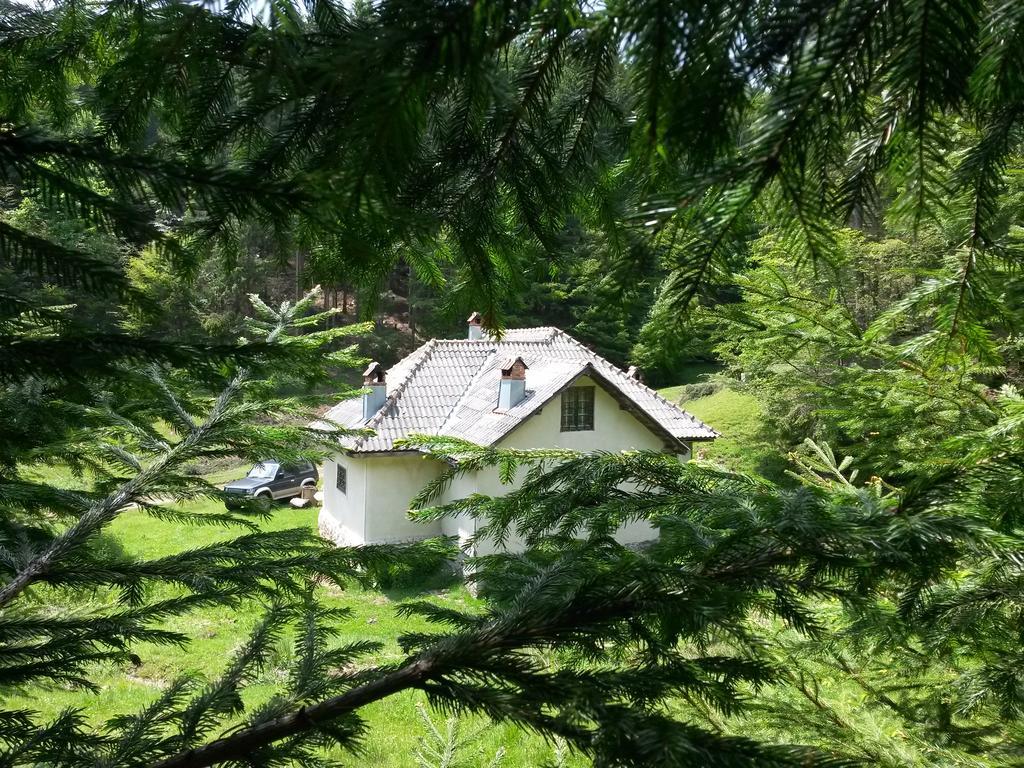 Cabana Pietricica Dîmbovicioara Esterno foto