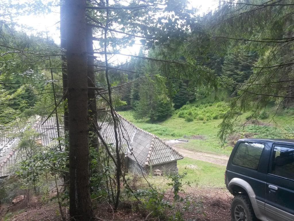 Cabana Pietricica Dîmbovicioara Esterno foto