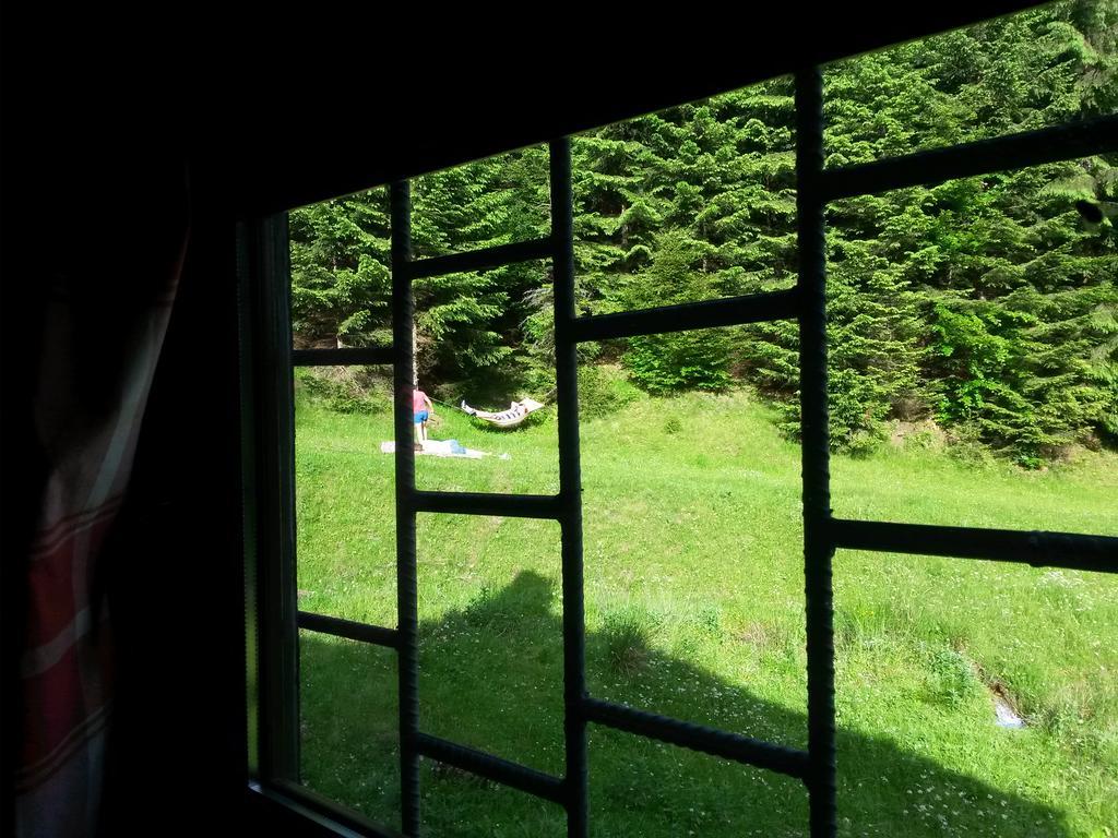 Cabana Pietricica Dîmbovicioara Esterno foto