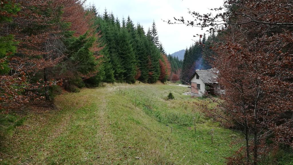 Cabana Pietricica Dîmbovicioara Esterno foto