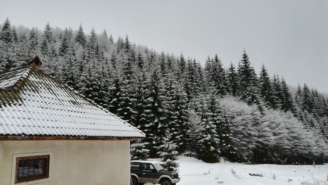Cabana Pietricica Dîmbovicioara Esterno foto