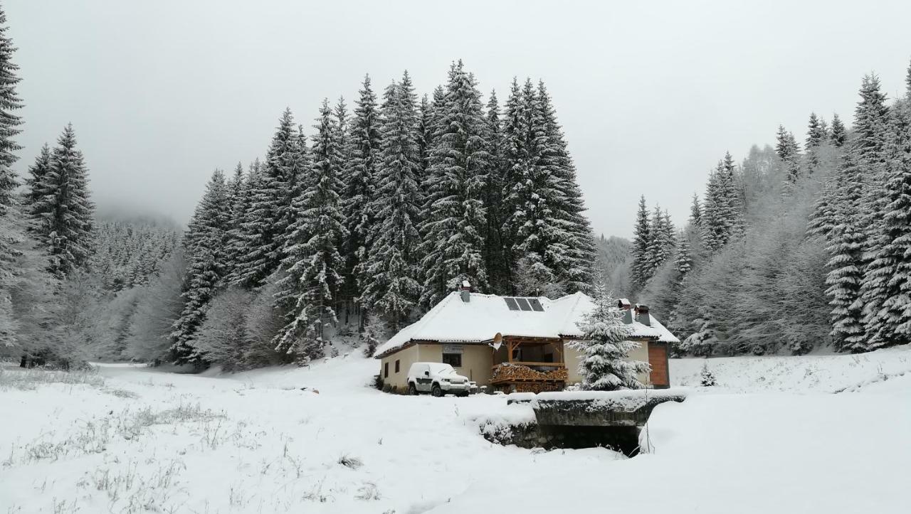 Cabana Pietricica Dîmbovicioara Esterno foto
