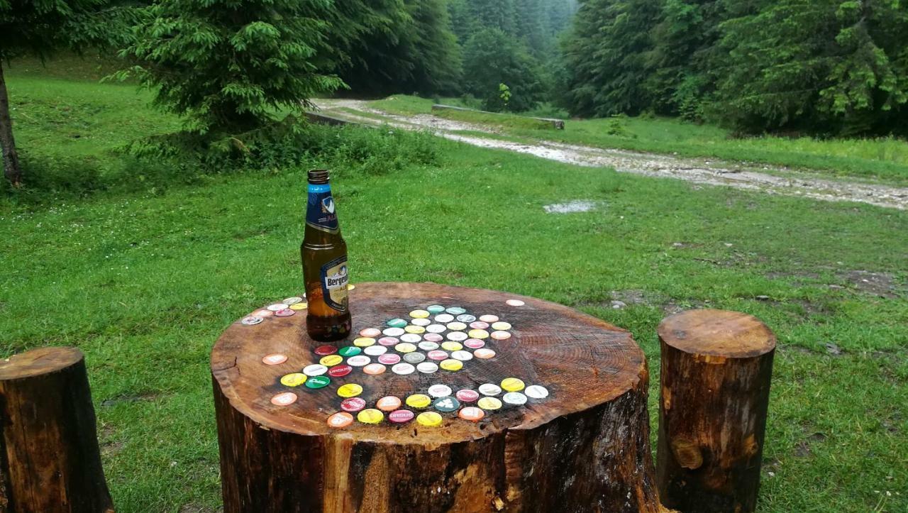 Cabana Pietricica Dîmbovicioara Esterno foto
