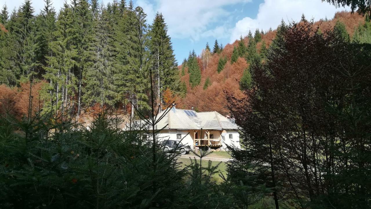 Cabana Pietricica Dîmbovicioara Esterno foto