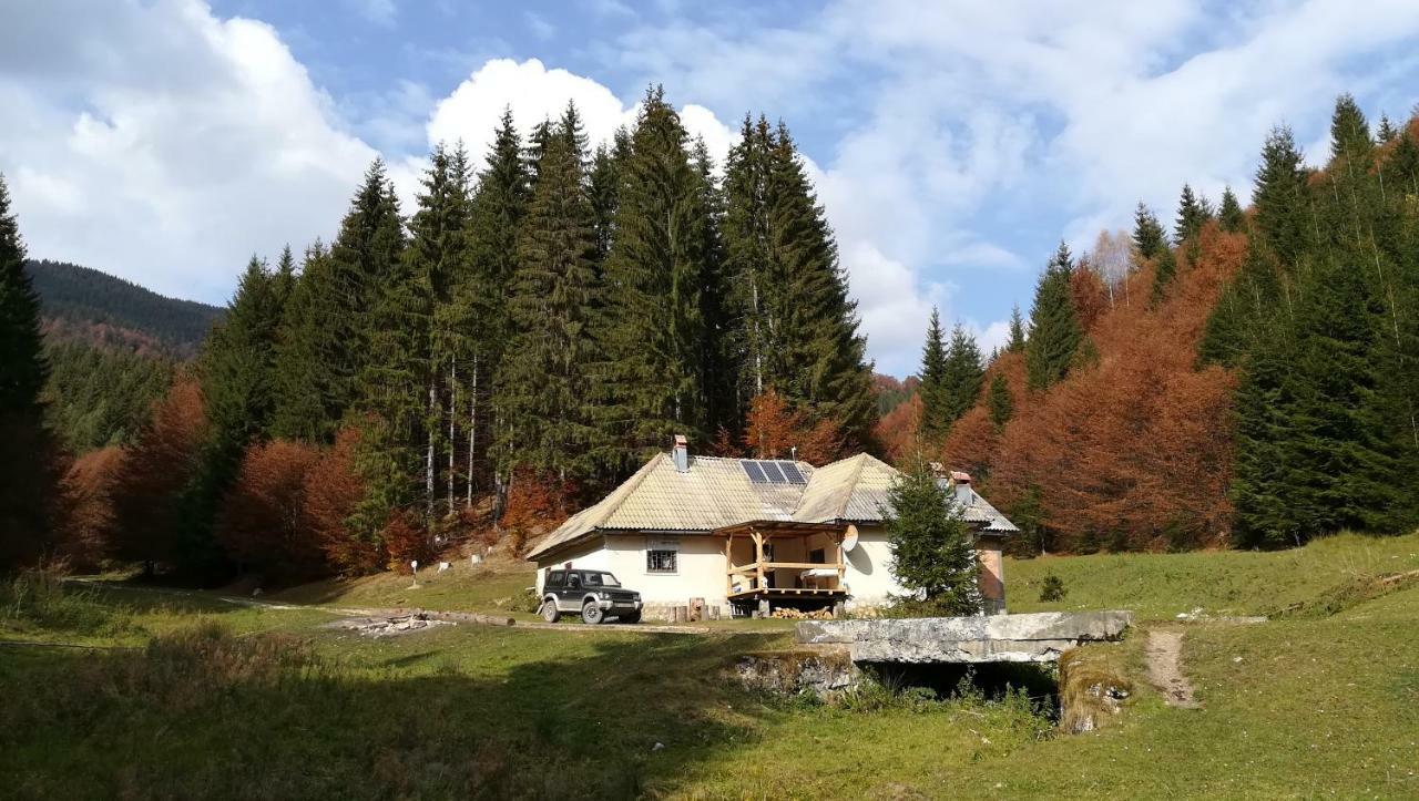 Cabana Pietricica Dîmbovicioara Esterno foto