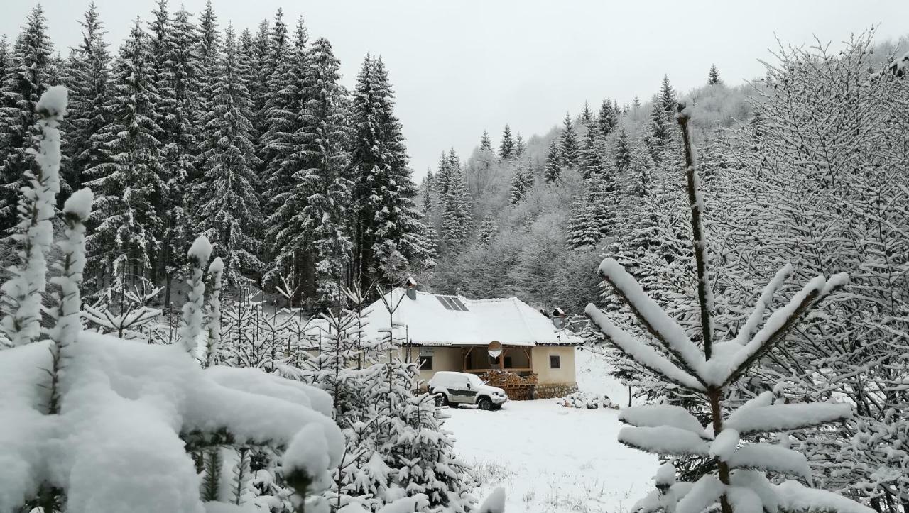 Cabana Pietricica Dîmbovicioara Esterno foto