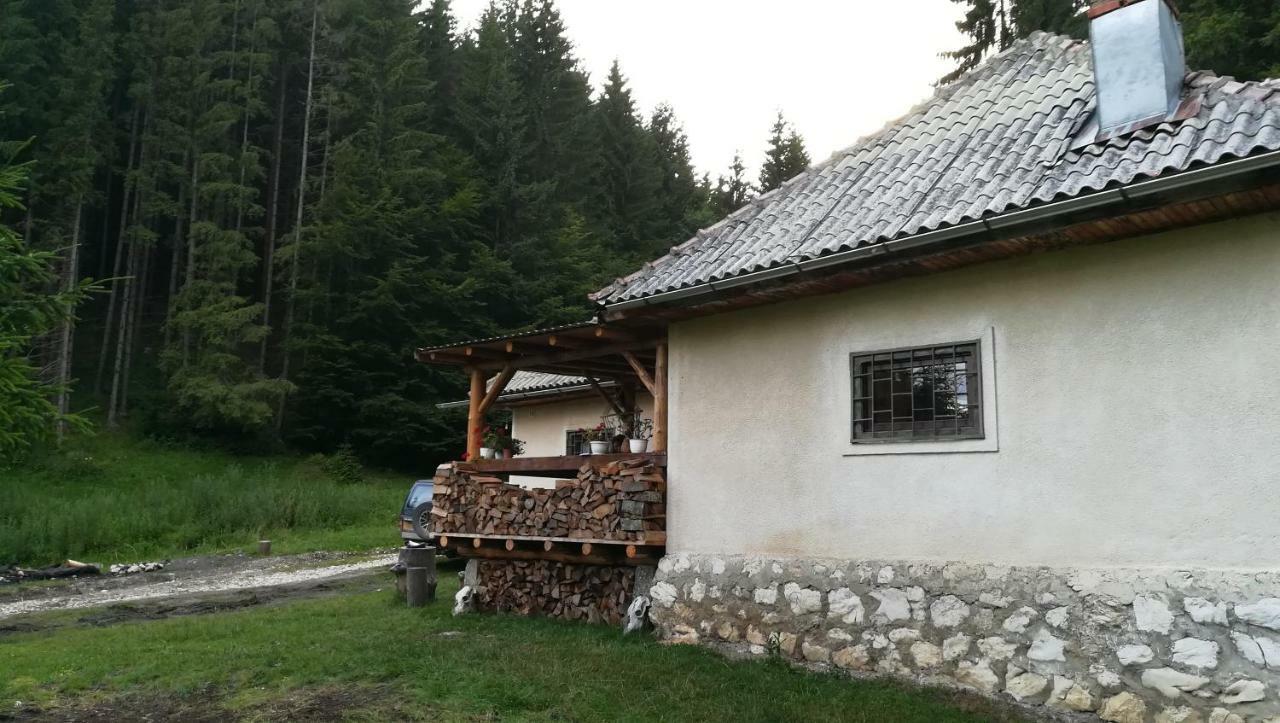Cabana Pietricica Dîmbovicioara Esterno foto