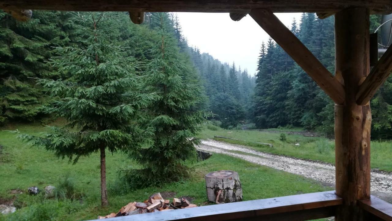 Cabana Pietricica Dîmbovicioara Esterno foto