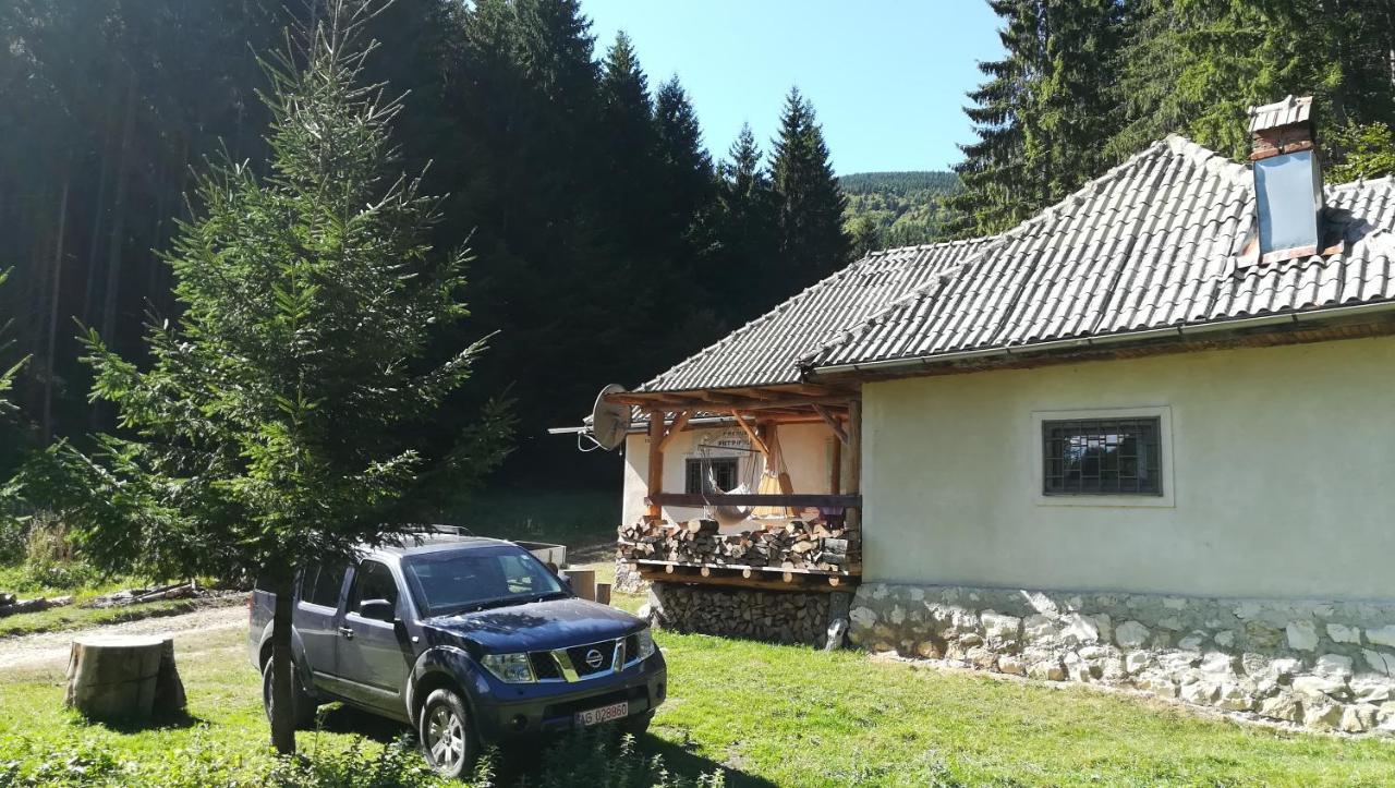 Cabana Pietricica Dîmbovicioara Esterno foto
