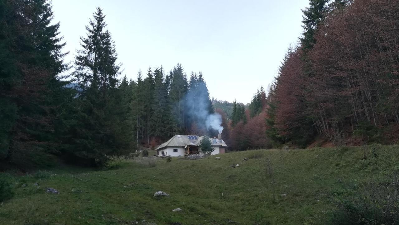 Cabana Pietricica Dîmbovicioara Esterno foto