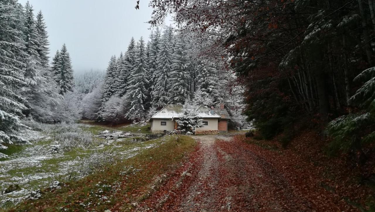 Cabana Pietricica Dîmbovicioara Esterno foto